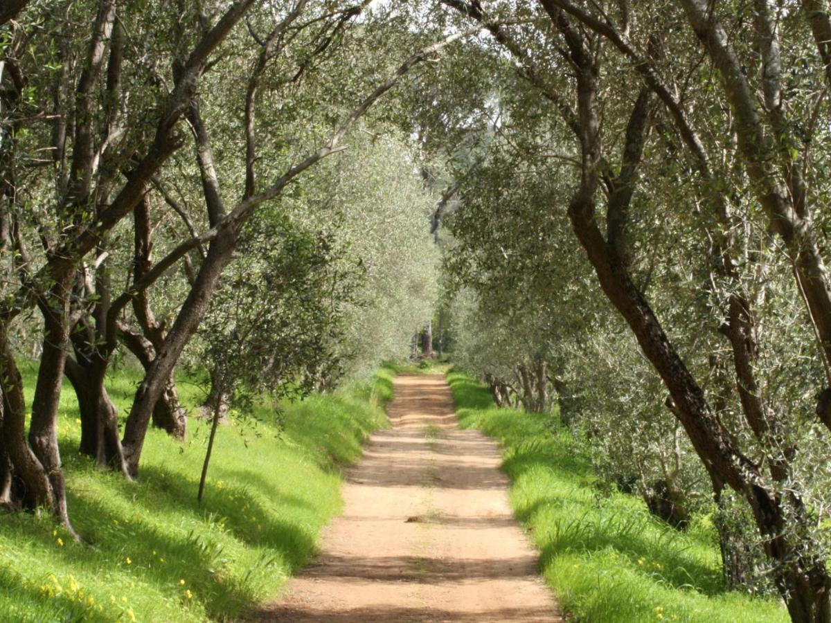 פארל Retreat At Waterfall Valley מראה חיצוני תמונה