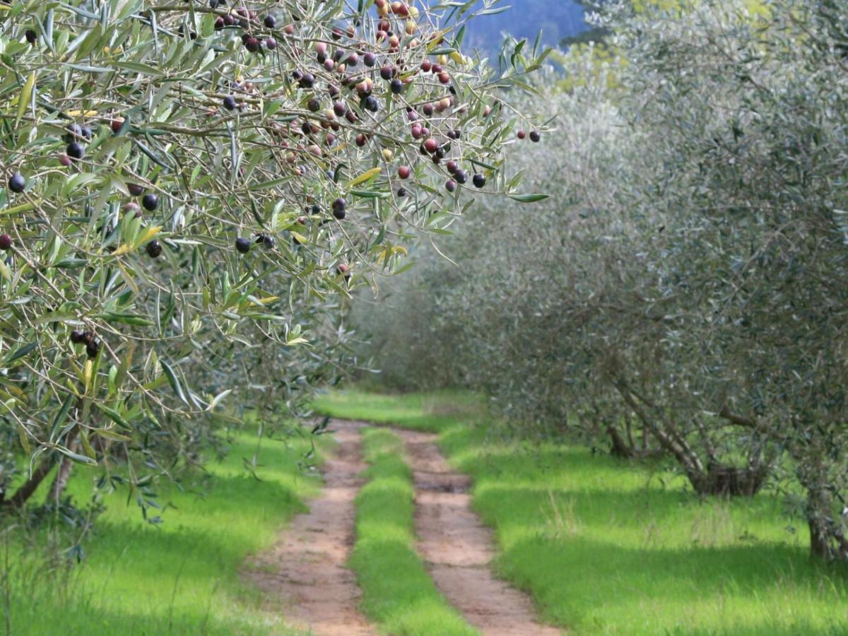 פארל Retreat At Waterfall Valley מראה חיצוני תמונה